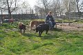 Afb_20170409w (30)